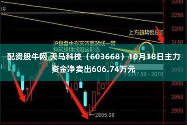 配资股牛网 天马科技（603668）10月18日主力资金净卖出606.74万元