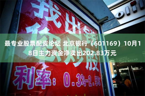 最专业股票配资论坛 北京银行（601169）10月18日主力资金净卖出202.83万元