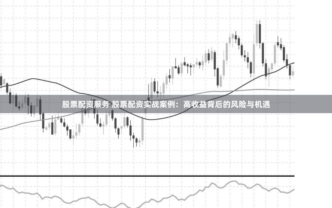 股票配资服务 股票配资实战案例：高收益背后的风险与机遇