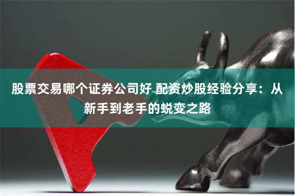 股票交易哪个证券公司好 配资炒股经验分享：从新手到老手的蜕变之路